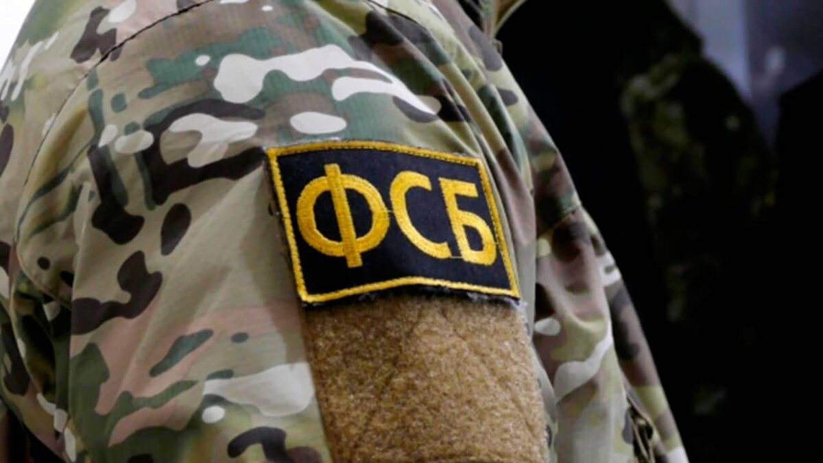 Фото: https://tvzvezda.ru/ (https://mcdn2.tvzvezda.ru/storage/news_other_images/2024/07/11/cc78c852c43d44678771964063a299cd.jpg)