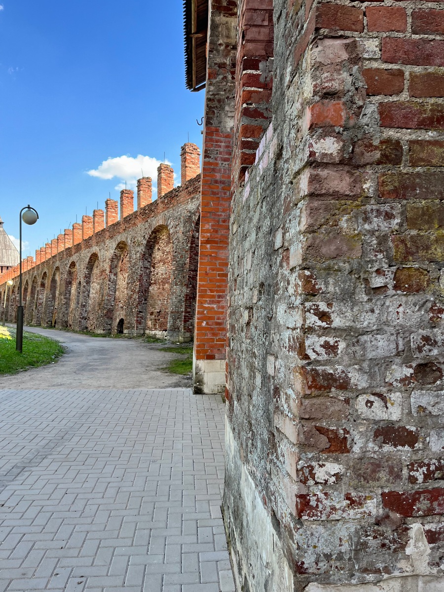 Часть стены(Лопатинский сад)