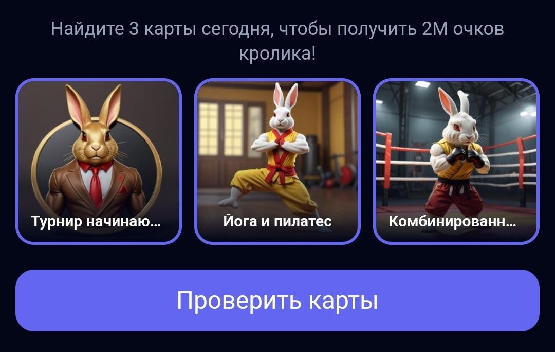 Комбо в Rocky Rabbit на 22.07.2024 г.