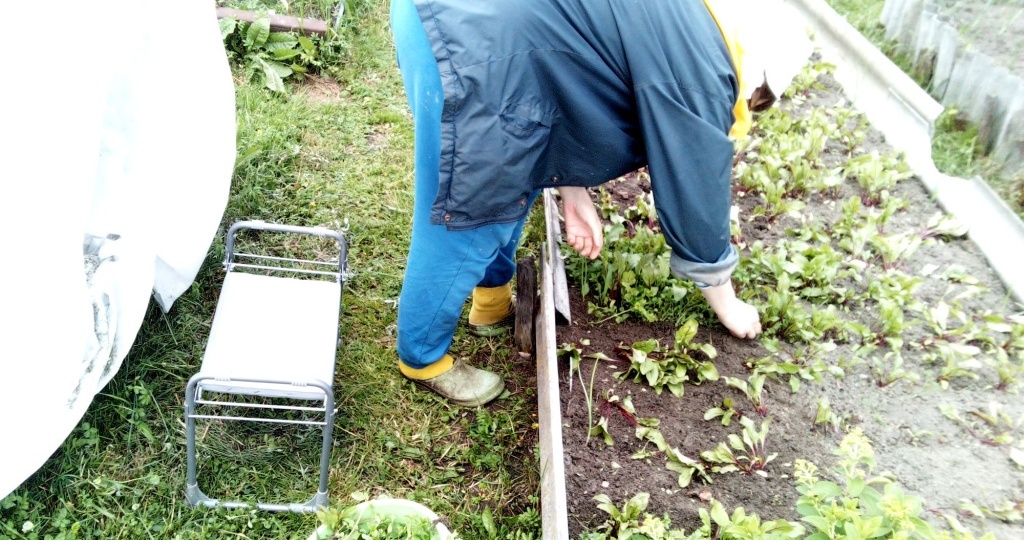 Советы, как быстро и легко полоть грядки