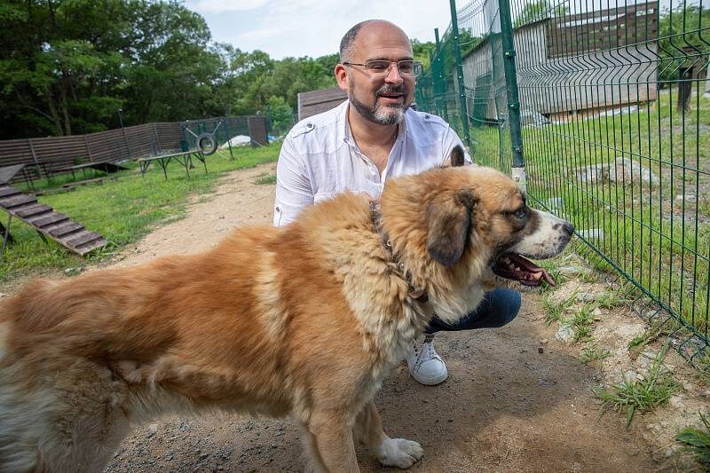    Источник фото: Анастасия Котлярова