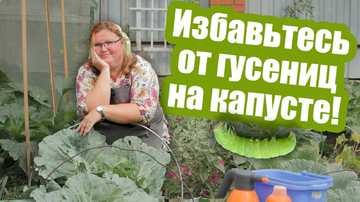 Гусеницы на капусте больше не появятся!