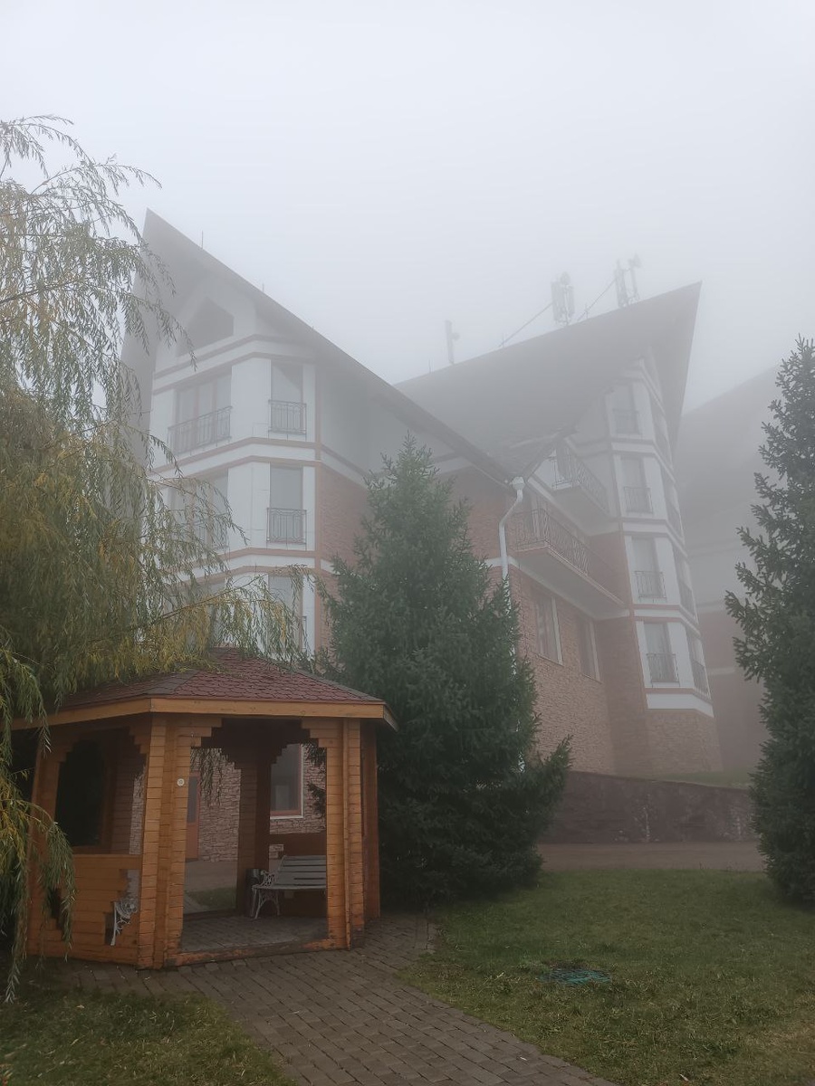 Утро туманное