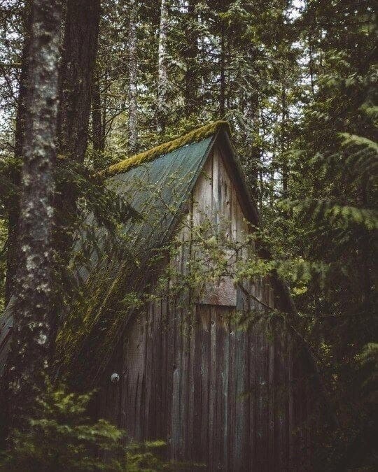 10 ВЕЩЕЙ, КОТОРЫЕ ПРИТЯГИВАЮТ В ДОМ НЕГАТИВ 
1. Разбитые стекла. Это может быть треснувшее окно, разбитое зеркало или кружка с отколовшейся ручкой. Не храните их дома, ведь разбитое стекло символизирует брешь в защите.

2. Старые вещи. Ношеная одежда, газеты или журналы, которые вы уже не будете читать — всему этому место в прошлом и на свалке. Если вдруг кофточка, которая вам так дорога, никогда на вас не налезет, а выбросить ее не поднимается рука — лучше отдать ее на благотворительность.

3. «Мертвые» вещи. Первые среди них — сухие цветы. Такие композиции очень любят многие хозяйки. Но все отжившее — это некротическая энергетика увядания. В этот же список можно включить чучела животных, засушенных бабочек или жуков, рога зверей и перья птиц. Конечно, исключения из правил тоже есть: если гербарий от любимой дочки, когда она была маленькой, трепетно хранится в вашем столе, вреда от него не будет. То же самое относится к перу или рогам, которые декорируют комнаты, не будучи взятыми с убитого животного. Ракушки из отпуска стоит держать в качестве сувениров только тем, кто регулярно за ними ухаживает. А вот остальное лучше раздать или выбросить. А уж высохшие комнатные растения — точно первые кандидаты на свалку, пока они не пополнили список вещей-энергетических вампиров.

4. Любая вещь, которой не пользовались больше трех лет. Даже если она совершенно новая, энергетика застоя начинает накапливаться в ней. Или дайте ей вторую жизнь, или задумайтесь. Возможно, пора куда-то пристраивать стол, за которым вы не сидели уже лет десять, и те самые брюки с распродажи, совсем как новенькие, но явно не по размеру?

5. Мелкий мусор в кармане или в кошельке. С малого начинается большое. Вряд ли все эти фантики и билетики — счастливые?

6. Фотографии, которые вам не нравятся. Негатив, который вы испытываете, глядя на фото, раз за разом впитывает ваше же изображение. Таким образом можно даже случайно себя сглазить.

7. Часы, которые стоят. Остановившееся время — очень дурной знак. Или отнесите их в ремонт, или выбрасывайте, не задумываясь. На худой конец, можно превратить тяжелые напольные часы в предмет мебели, например, в столик, а настенные — в рамку для фото или вешалку.

8. Непарные вещи. Отдельного внимания заслуживает стоящая на балконе лыжа (одна), лыжная палка (одна) или завалившийся за обувную полку тапок (разумеется, один). Такие предметы обихода уже не послужат пользой и лишь мешают обзаводиться новыми покупками, блокируя энергетику.

9. Обтрепавшийся веник. О венике стоит сказать отдельно. Веник, швабра, метла — не просто инструменты для уборки. С веником связано множество примет о домовых — помощниках в вашем жилье и отвечающих в том числе за материальное благополучие. Старый, облысевший веник ведет к иссякающим финансам. Поэтому все, чем вы наводите порядок, должно само содержаться в порядке.

10. Картины и фотографии с изображением бури, ненастья или плохой погоды. Правда, если вам кажется, что акварели с дождем — это лирично и очень красиво, их можно оставлять. Просто присмотритесь и прочувствуйте изображенное: если картина приносит тревожные мысли, лучше подыскать для нее другого владельца.