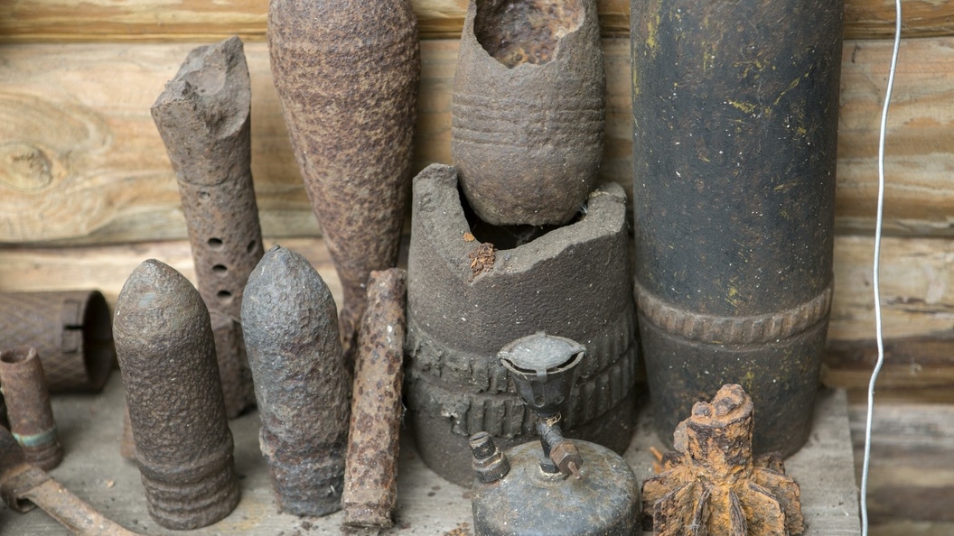    Nikolay Gyngazov/Globallookpress