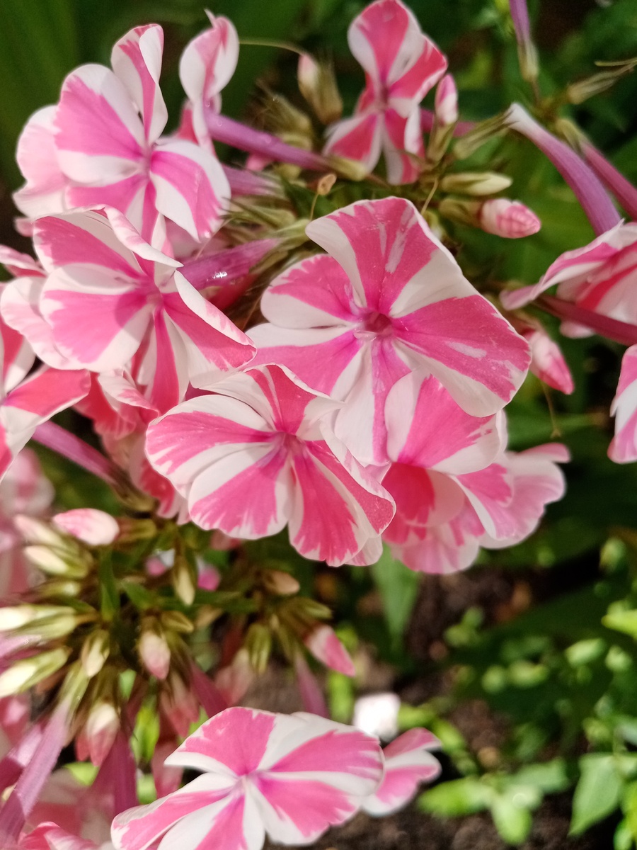 Фото из личного архива.