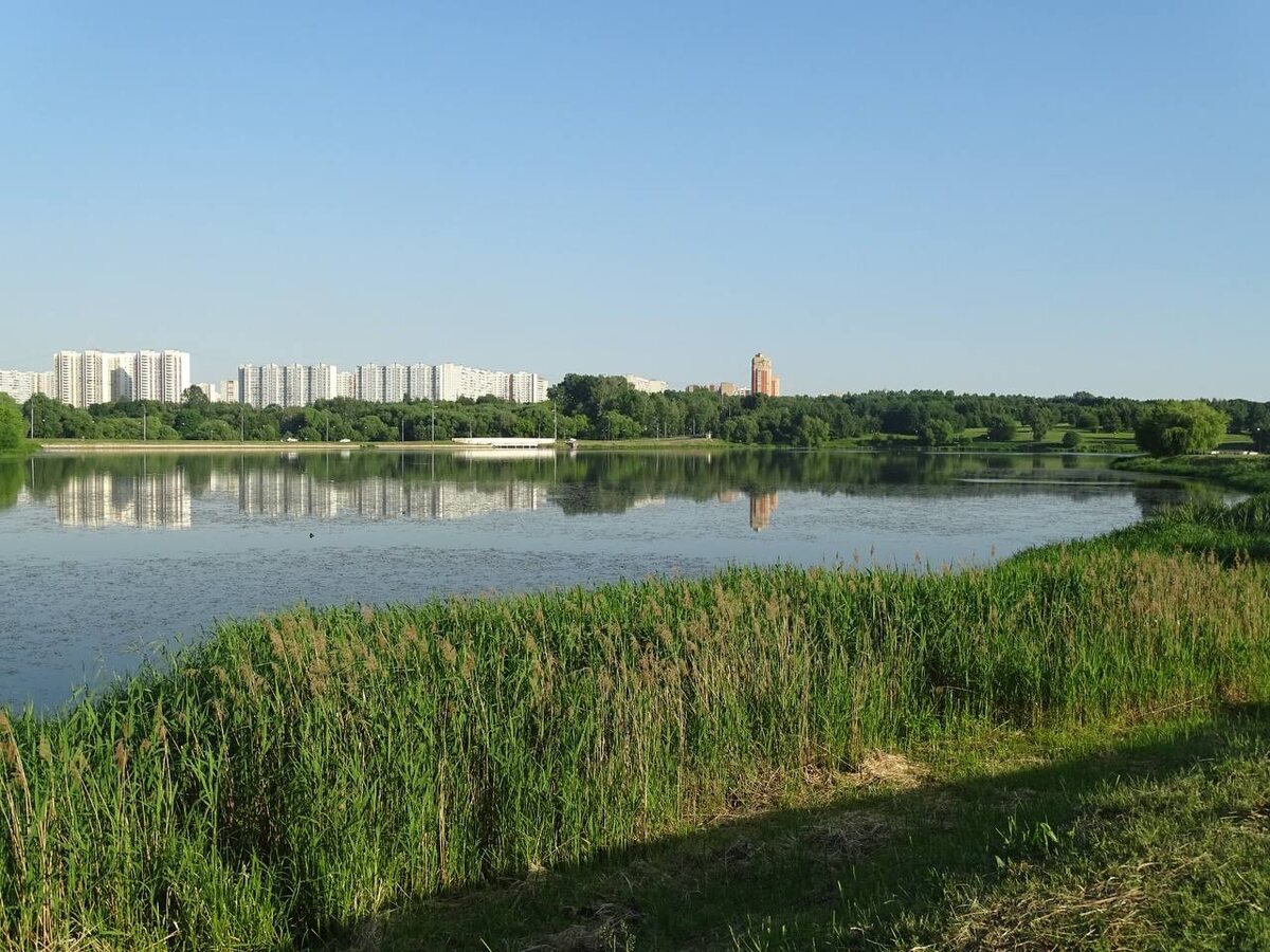 Фото С. Хрибара. Парк Царицыно