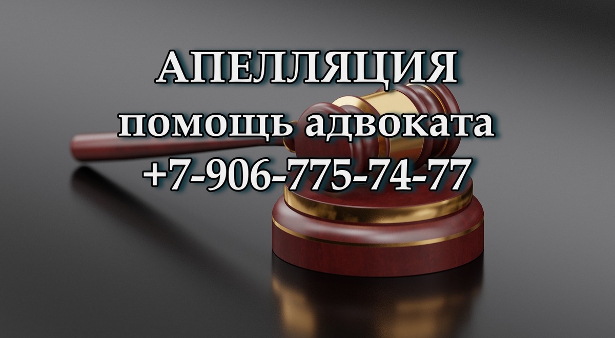 Апелляция - помощь адвоката