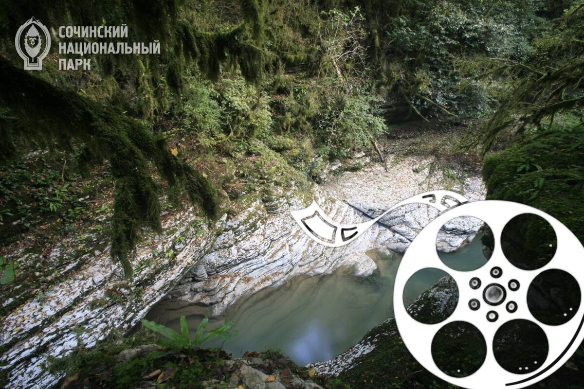    Фото: Сочинский национальный парк