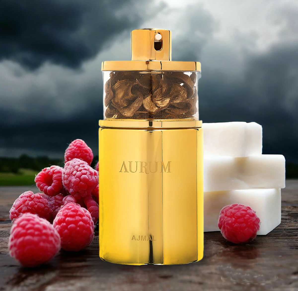 группа: цветочные, фруктовые верхние ноты: малина, лимон
средние ноты: фруктовые ноты, гардения, цветок апельсина, жасмин, пряности
базовые ноты: пудровые ноты, ваниль, мускус, амбра, древесные ноты
выпущен в 2011 году