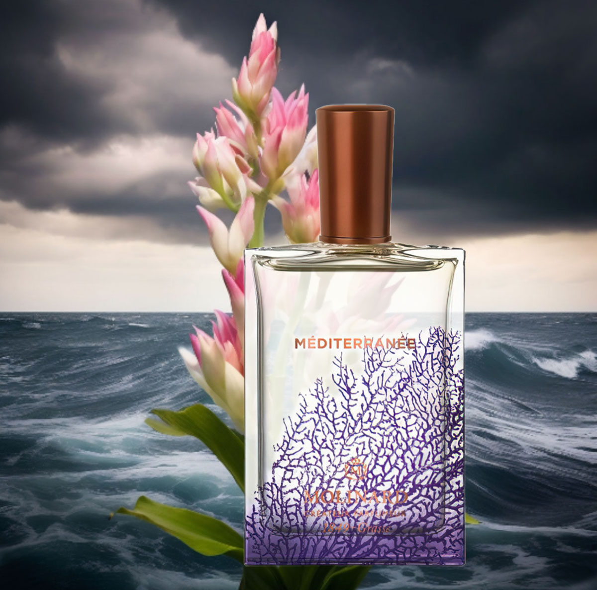 группа: цветочные, водяные верхние ноты: калон, зеленые ноты, тиаре
средние ноты: шалфей, роза, лабданум
базовые ноты: бессмертник, белый мускус, кашмеран, сандал
выпущен в 2020 году