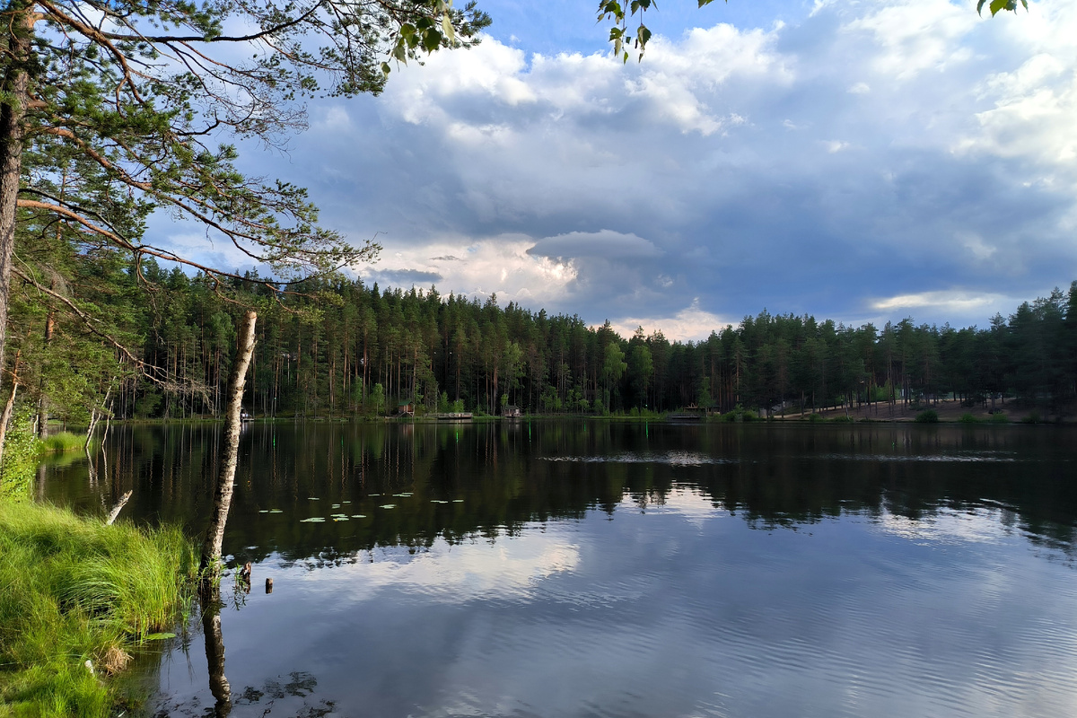 Фото: Maksim Konstantinov/Global Look Press