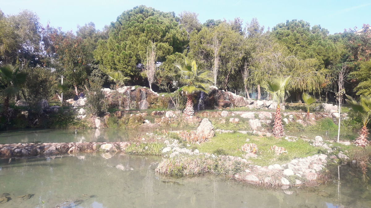 Анталия. Личное фото