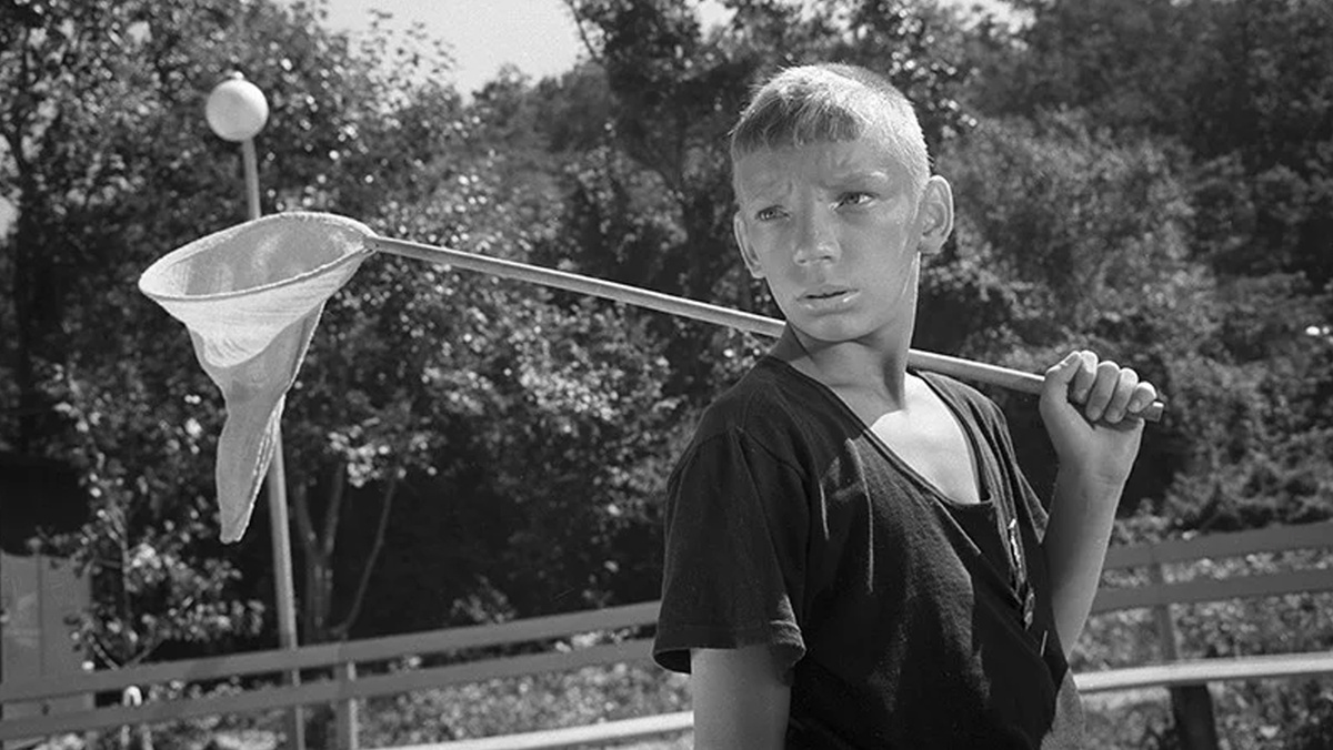 Лето закончилось. Оно уже кончилось. Вот и закончилось лето. А что это вы тут делаете. Оно уже кончилось.