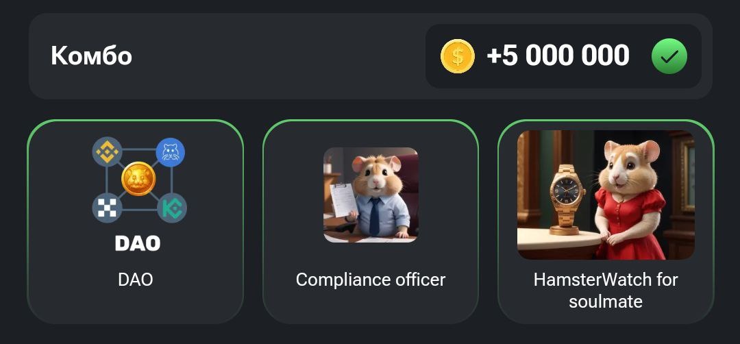 Комбо 31.07 hamster