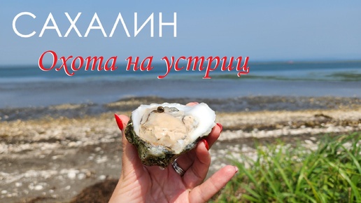 Охота на устриц на озере Буссе 🦪