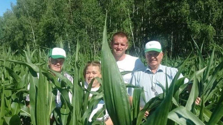    В двух свердловских хозяйствах отрабатывается эффективная технология по выращиванию кормовых культур