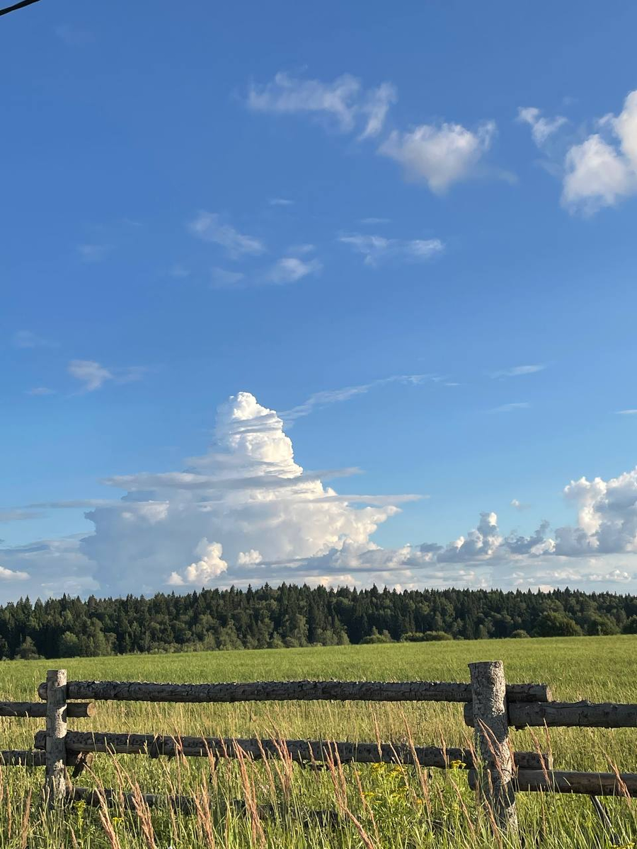 Фото из личного архива