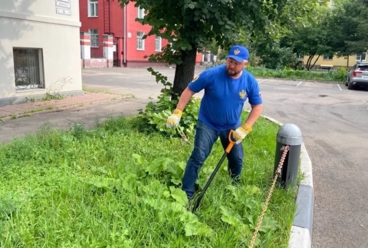    В Ярославле детский омбудсмен вышел на борьбу с борщевиком