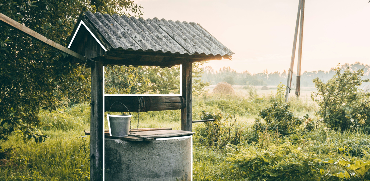 Источник: Авторский материал пользователя платформы. Источник фото: Unsplash (https://unsplash.com/)