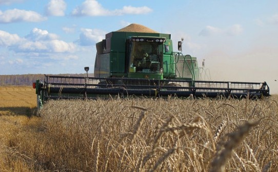 Фото: mcx.nso.ru