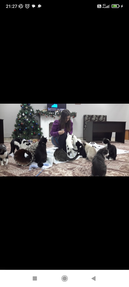 Скрин из моей социальной сети. 