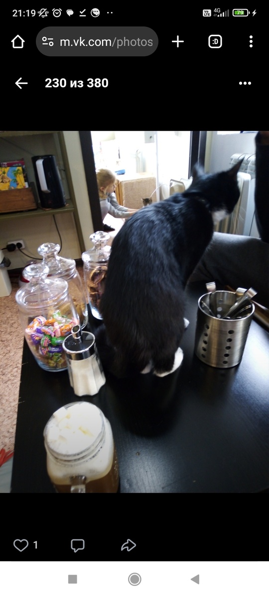 Скрин из моей социальной сети. 