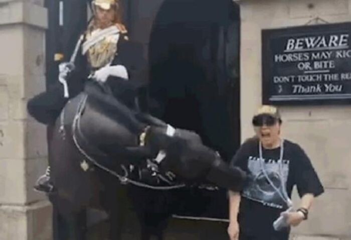 Источник фото: скриншот видео/ You Tube