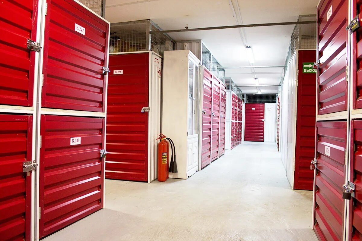 Фото из интернета ( Яндекс картинки)