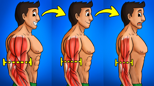 ПОЧЕМУ НЕ РАСТУТ МЫШЦЫ. 7 ГЛАВНЫХ ПРИЧИН