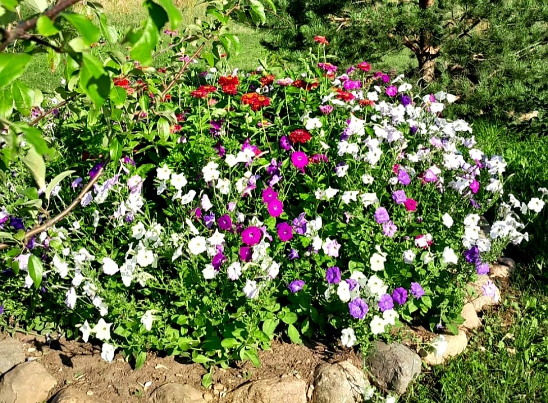 Фото автора.