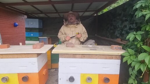 Немного о пасечной стамеске. Видео по пчеловодству для начинающих 2024