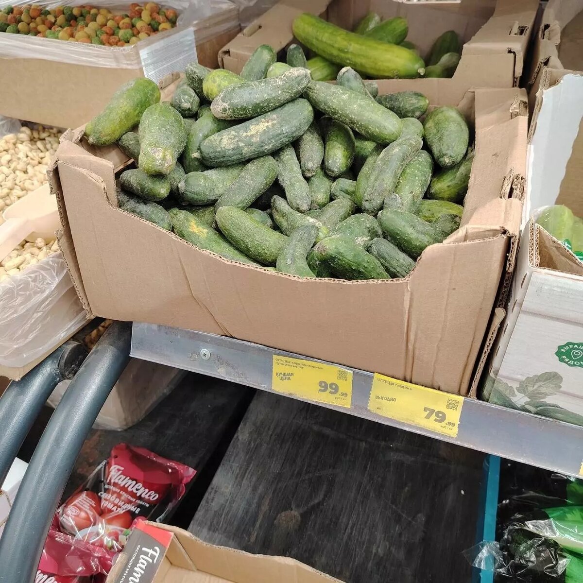     Источник: t.me/karelia_komarik