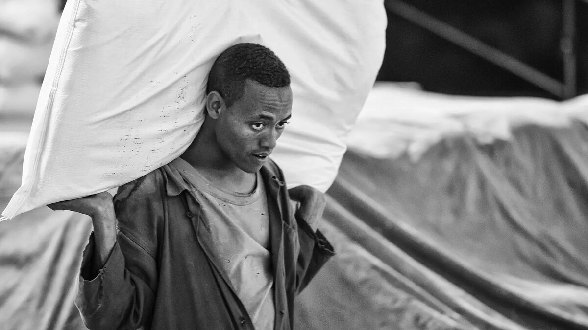     Автор: Roger Reuver/flickr.com/cc by 2.0