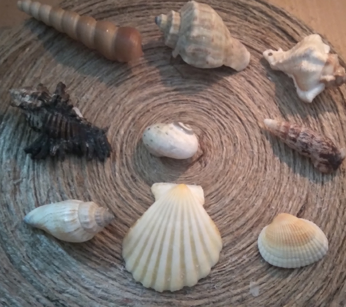 Варианты слева направо.