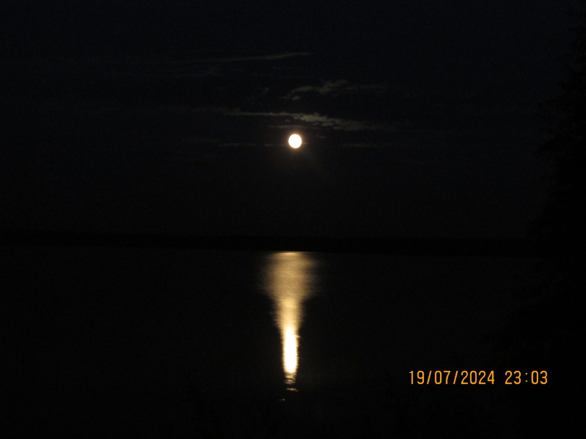 Фото Автора. Ночное озеро в саду и Лунная дорога.
