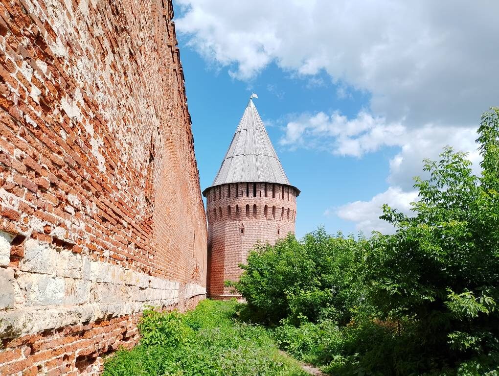 Решил выбраться из деревни, погулять по Смоленску. Это вид "из"  крепостной стены.