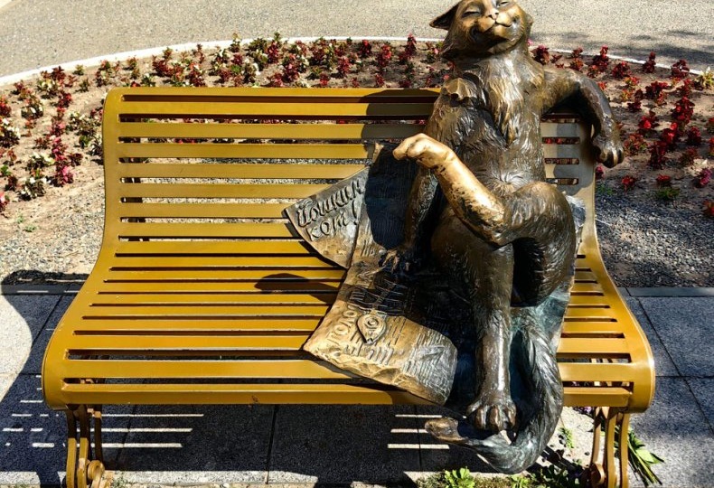 Как выглядит Йошкин Кот