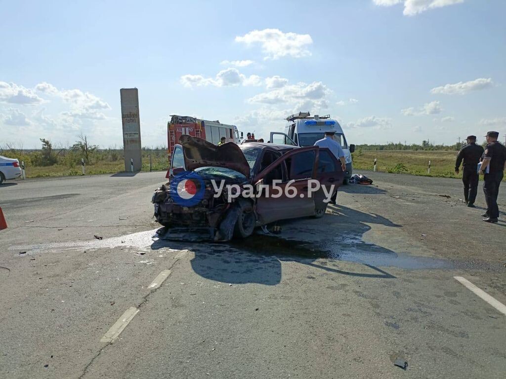    В смертельном ДТП под Орском погибли 83-летний мужчина и 85-летняя женщина