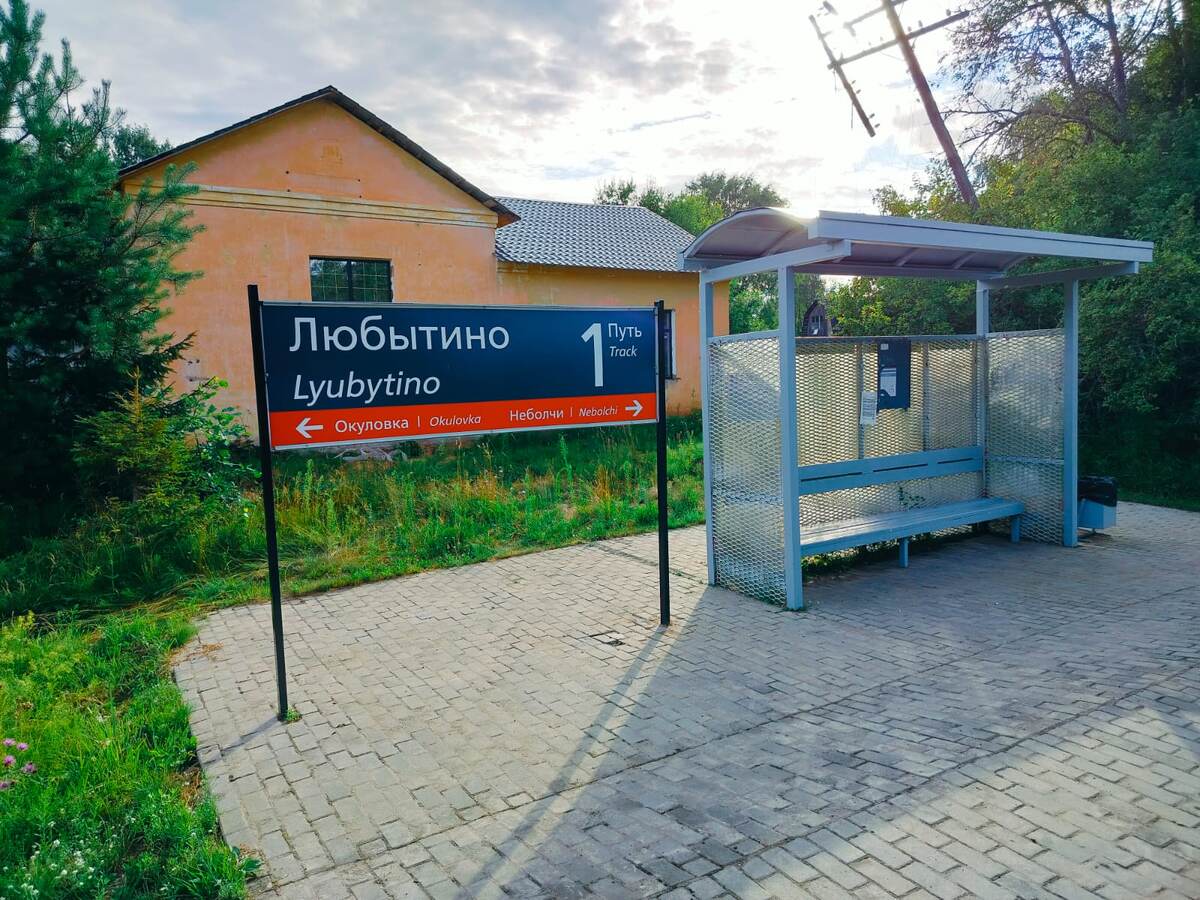 Фото автора канала 