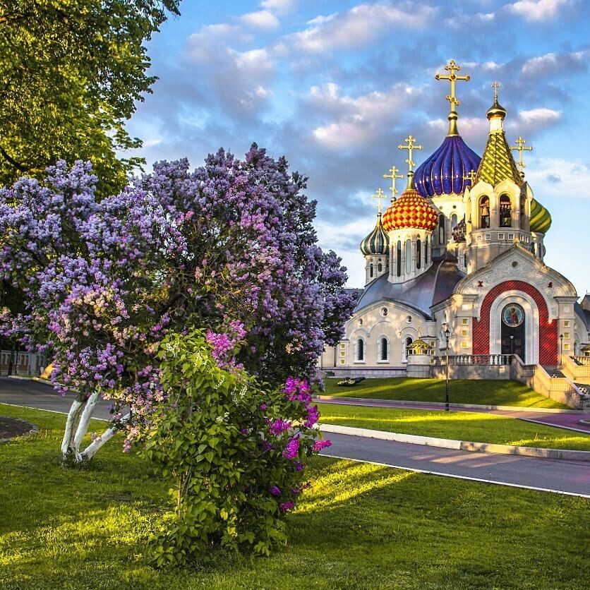 Источник: Яндекс. Картинки