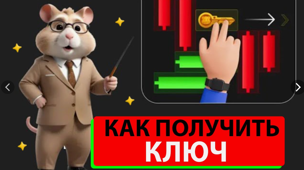 Хамстер комбат 23.07