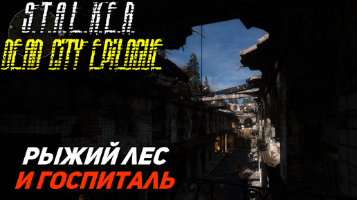 РЫЖИЙ ЛЕС И ГОСПИТАЛЬ ➤ S.T.A.L.K.E.R. Dead City Epilogue #24