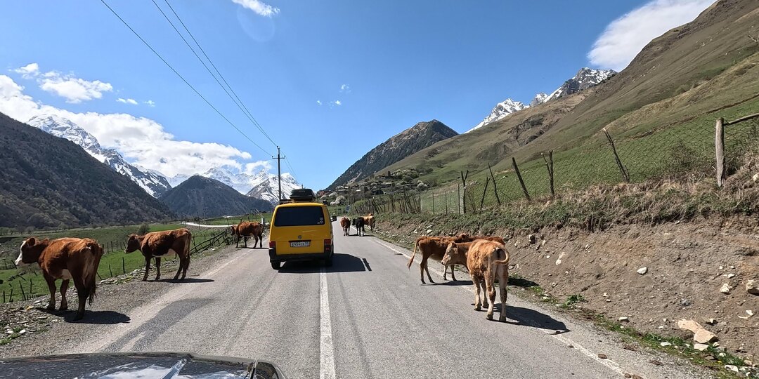Дигорское ущелье. Северная Осетия.