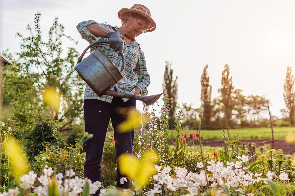 Аммиачную селитру открыли в 1659 году. Источник: Shutterstock📷
