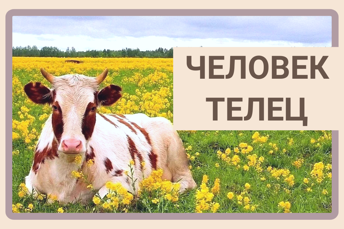 Телец. Символ Тельца. Ведическая астрология