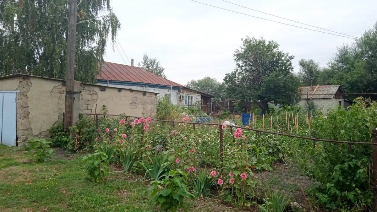    Жителей Энгельса призвали поливать огороды ночью из-за нехватки водыНовости Саратова и области – Сетевое издание «Репортер64»