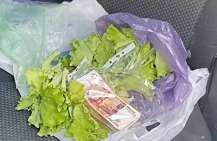    стоп-кадр видео/пресс-служба УФСБ России по Пермскому краю