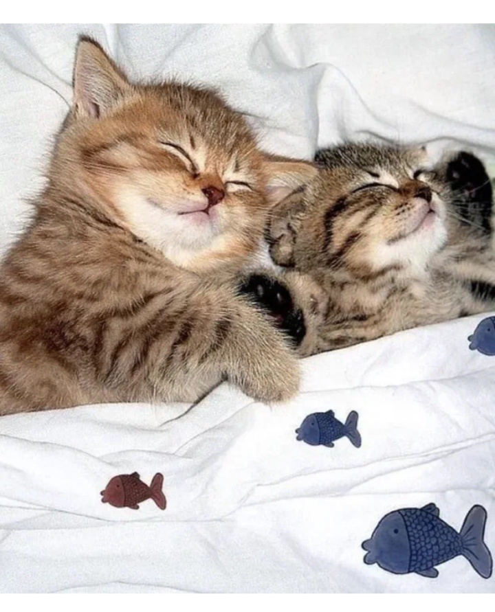 И это!!! 😘🛌🥰