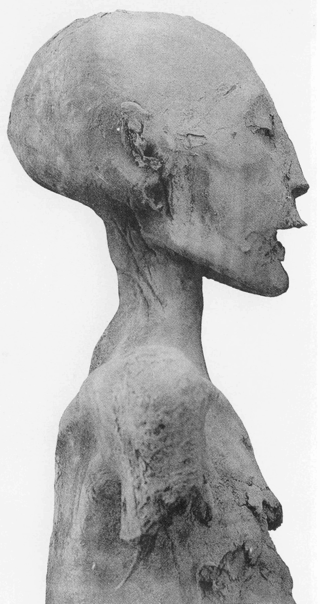 Профиль мумии "Молодая Леди", фото 1912 года.